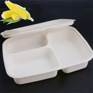 Biodegradable Food Container with Compartments Biodegradable Food Container with Compartments