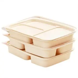 Biodegradable Food Container with Compartments Biodegradable Food Container with Compartments