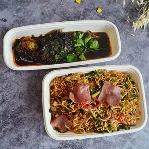 Biodegradable Food Container with Compartments Biodegradable Food Container with Compartments