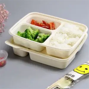 Biodegradable disposable food containers tray with compartments Biodegradable disposable food containers tray with compartments