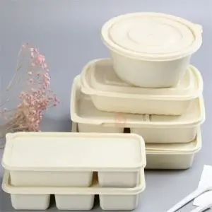 Biodegradable disposable food containers tray with compartments Biodegradable disposable food containers tray with compartments