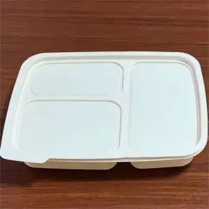 Biodegradable Disposable Food Containers Tray with Compartments