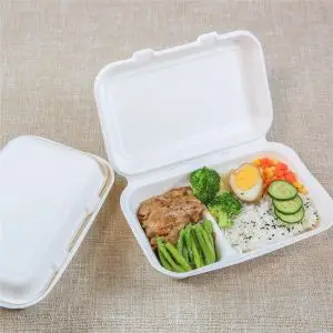 Biodegradable Food Container with Compartments