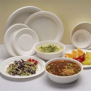 Sugarcane Bagasse Tableware Bowls 32 Oz Bowl 500 Plates And