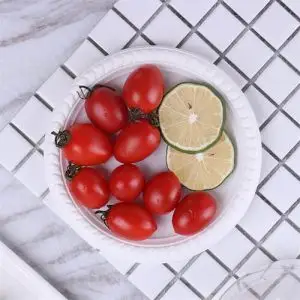 Biodegradable Plates Manufacturers - Best Disposable for Wedding Fancy Weddings