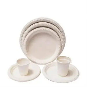 Disposable Plastic Christmas Plates and Bagasse Plate for Wedding
