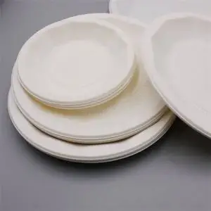 Food Plate Disposable Plates That Look Like China Compartment