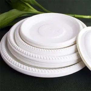 Disposable Plates That Look Real Christmas Looking