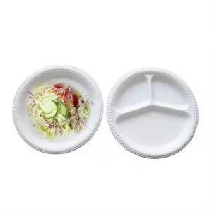 Biodegradable Disposable Food Plate