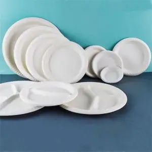 Cornstarch Plates High End Disposable Biodegradable