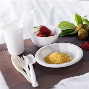 Corn Starch Biodegradable Plate Best Disposable Plates Ecoware