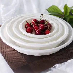 Disposable Rectangular Plates Fancy 7 Compartment Plate
