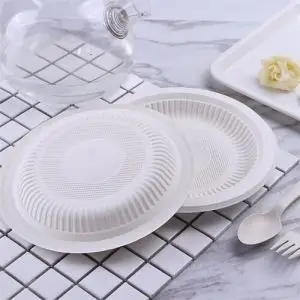 Disposable Divided Plates Eco Friendly Plate Of Mexican Food