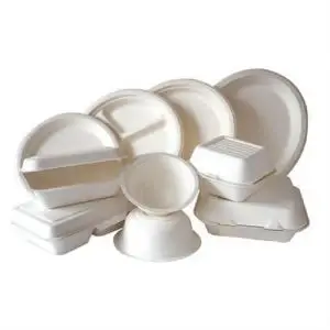 White Disposable Plastic Plates For Weddings 10 Inch Square