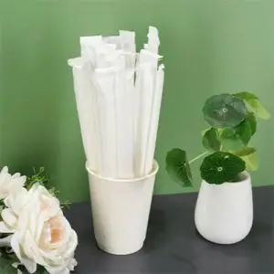 Plastic Straw Hard Straws PLA Packing Individually