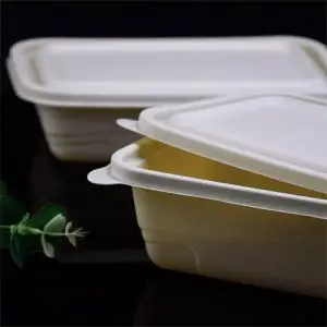 Food Service Containers Bagasse Packaging Upscale Disposable Dinnerware