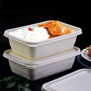 Compartmented Trays 32 Oz Deli Container With Lid Plastic Hinged Food Containers