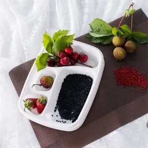 Compartmented Trays 32 Oz Deli Container With Lid Plastic Hinged Food Containers