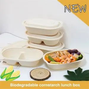 Compartmentalized Food Containers Eco Friendly To Go Packaging
