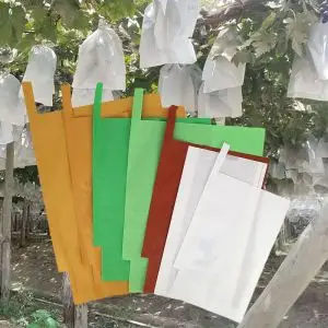 Bolsas de papel para protección de melocotón y envoltura de uva