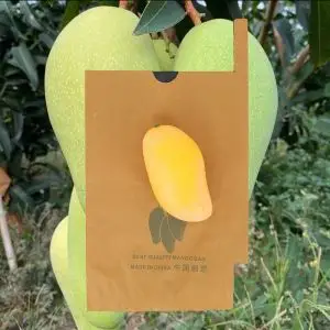 Cambodia Mango Fruit Growth Protection Water Resistant Paper Bag Cambodia Mango Fruit Growth Protection Water Resistant Paper Bag
