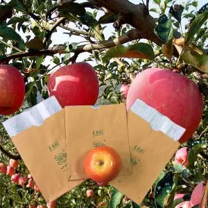 Apple Protect Waterproof Mango Weather Resistance Fruit Growing Paper Bag Apple Protect Waterproof Mango Weather Resistance Fruit Growing Paper Bag