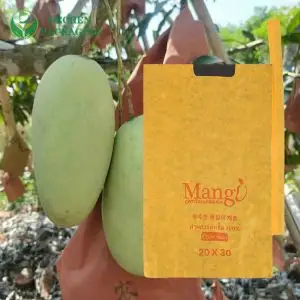 Mango Covers Fruits Wrapping Paper Carbon Grow Fruit Protection Bag For Grape Mango Covers Fruits Wrapping Paper Carbon Grow Fruit Protection Bag For Grape