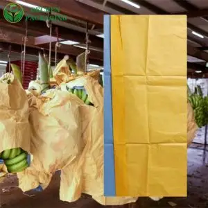 Protection contre les oiseaux pour la culture des bananes, sac en papier pour la culture des fruits, raisin