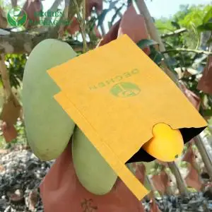 Bags Growing Fresh Mango Insect Resistant Paper Fruit Protection Bag For Banana Bags Growing Fresh Mango Insect Resistant Paper Fruit Protection Bag For Banana