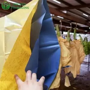 Sac en papier de protection pour fruits en croissance – Banane et Raisin