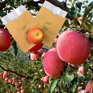 Bolsa de protección de frutas de papel kraft de alta calidad para uvas, manzanas y mangos