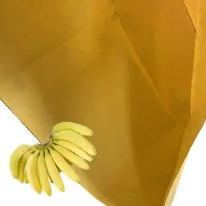 Banana Plastic Biodegradable Grape Top Grade Paper Packing Mango Bag Banana Plastic Biodegradable Grape Top Grade Paper Packing Mango Bag