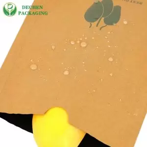 La pépinière résistante à l'eau de papier élèvent des sacs de protection de fruit d'agriculture de sac