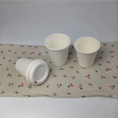 Paper 6 Oz Espresso Biodegradable Sugarcane Lids Disposable Double Coffee Cup Paper 6 Oz Espresso Biodegradable Sugarcane Lids Disposable Double Coffee Cup