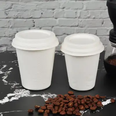 3oz Eco Friendly Bagasse Paper Cup with Lids for Hot Water - 16 oz 3oz Eco Friendly Bagasse Paper Cup with Lids for Hot Water - 16 oz