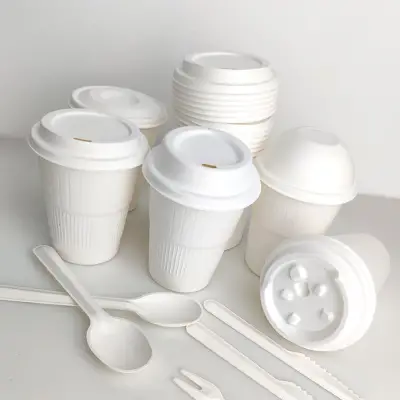 Couvercle Plastic Free Dome Biogradeable Cup Lid Best Quality Disposable Eco Friendly Lids Couvercle Plastic Free Dome Biogradeable Cup Lid Best Quality Disposable Eco Friendly Lids